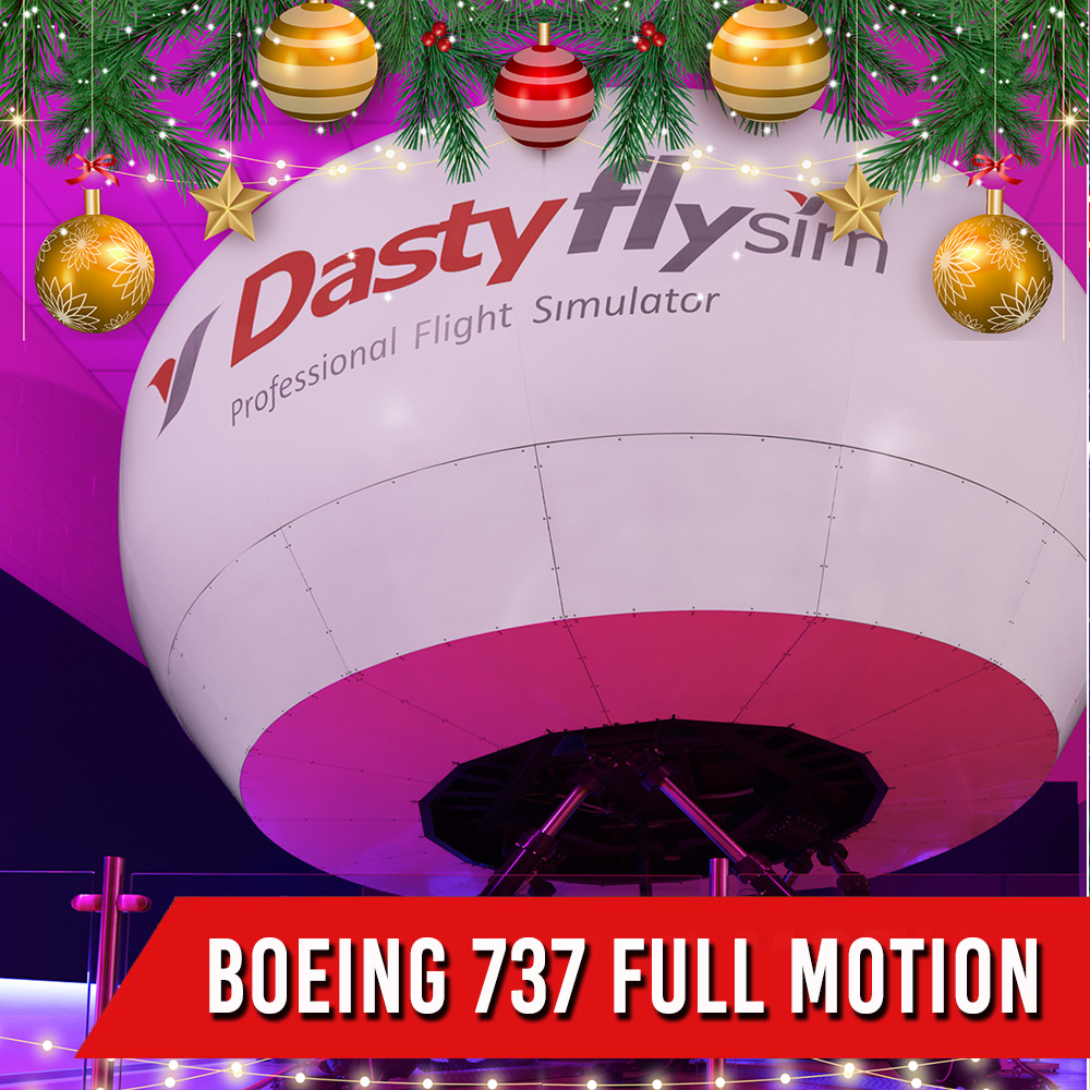 BOEING 737 800-NG <br>   FULL MOTION <br>  1 PILOTA + 2 PASSEGGERI <br>   60 MIN
