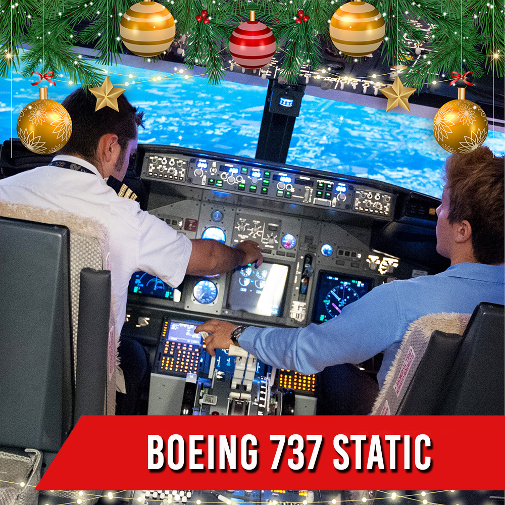 BOEING 737 STATIC  <br>  1 PILOTA + 2 PASSEGGERI <br>  60 MIN