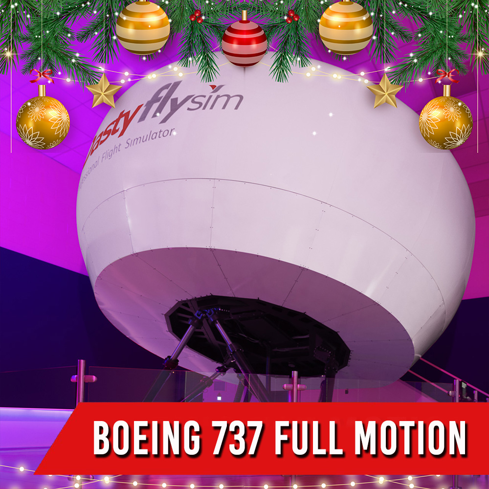 BOEING 737 800-NG <br>  FULL MOTION <br>  1 PILOTA + 2 PASSEGGERI <br>  90 MIN