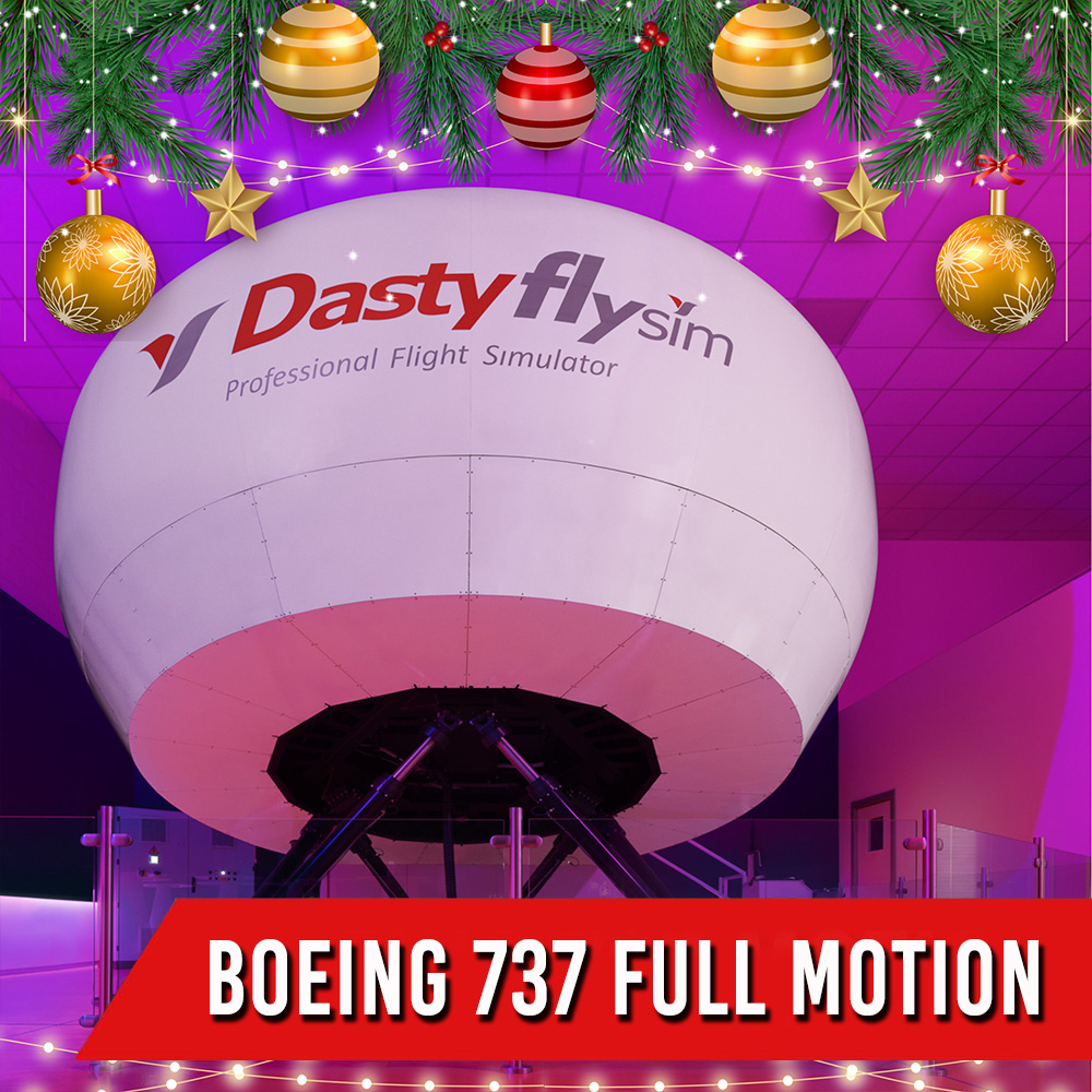 BOEING 737 800-NG <br>  FULL MOTION <br>  1 PILOTA + 2 PASSEGGERI <br>  120 MIN