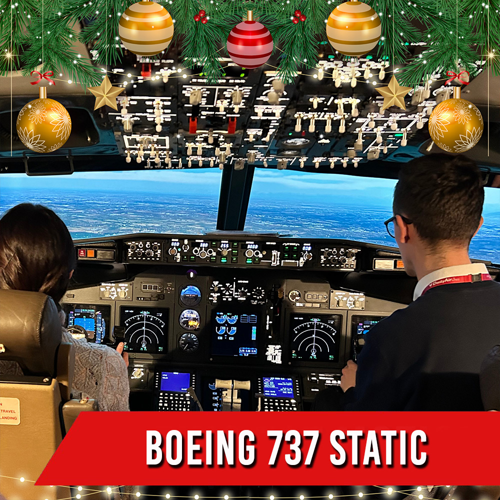 BOEING 737 STATIC  <br>  1 PILOTA + 2 PASSEGGERI <br>  120 MIN