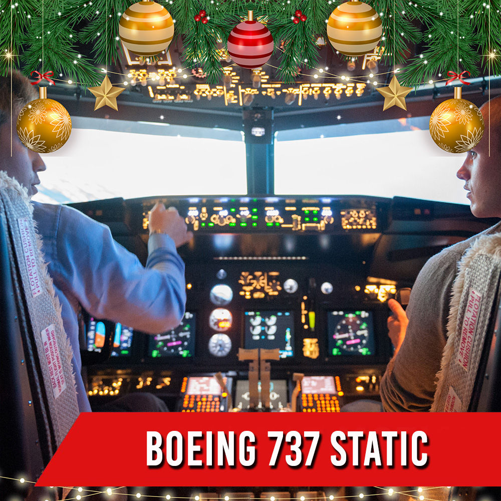 BOEING 737 STATIC <br>  1 PILOTA + 2 PASSEGGERI <br>  90 MIN
