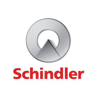 Dasty Fly Sim Aziende